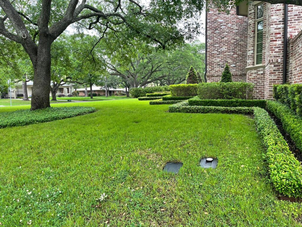 How to Choose the Best Lawn Care Company in Houston