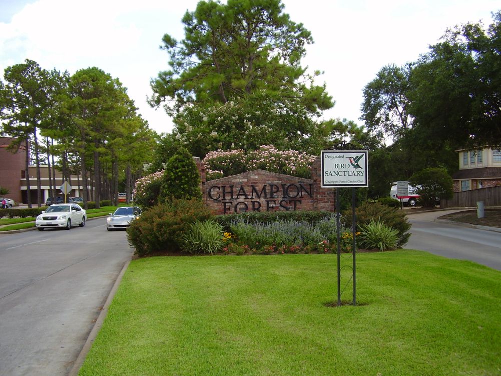 Champions​ texas