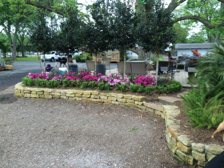Flowering shrubs edging a driveway on a maintained property