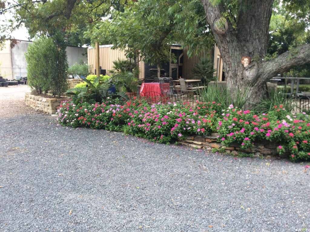 A shaded planting bed of red and pink flowers under a mature tree, edged with fresh mulch