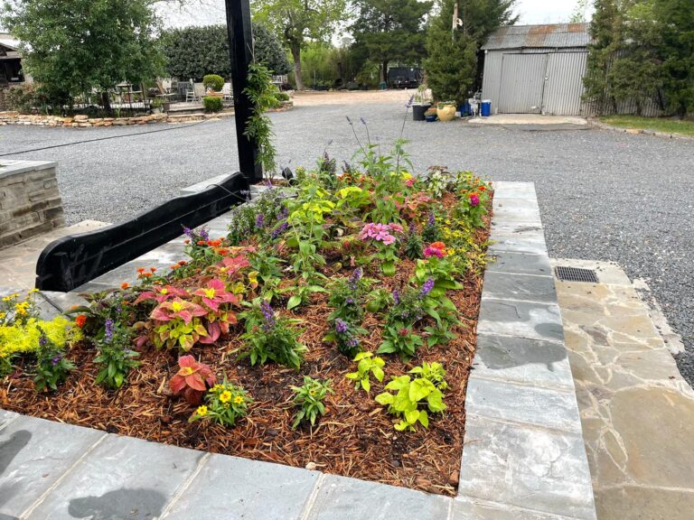 A freshly planted bed running along a paved path beside a garden wall