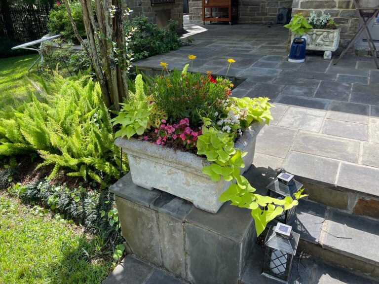 Mixed seasonal planting running alongside a stone path and lawn