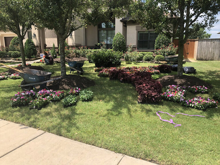 A colourful flower bed planted along a house frontage
