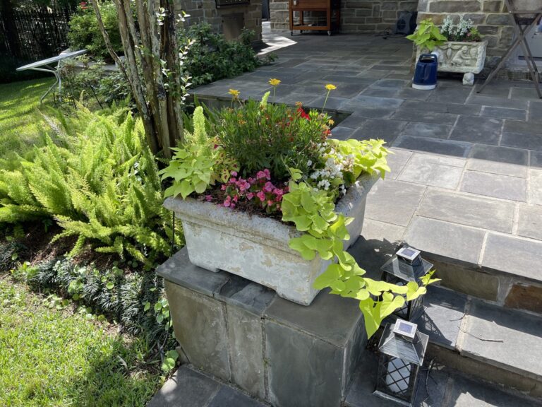 A layered planting bed with palms and shrubs running alongside a stone walkway