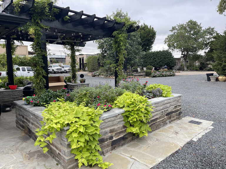 A pergola, stone paving and layered planting beds