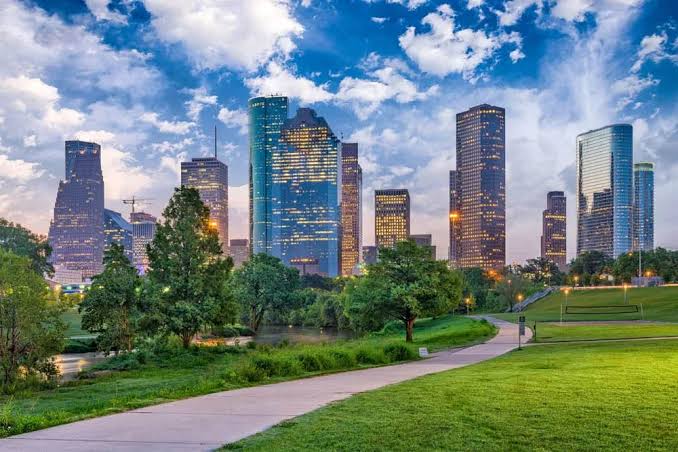 Landscaping in Houston Tx