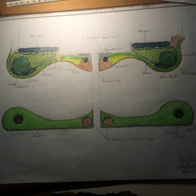 A landscape design drawing with planting detail