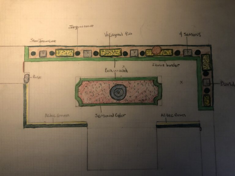 A landscape plan showing bed layout and lawn shape