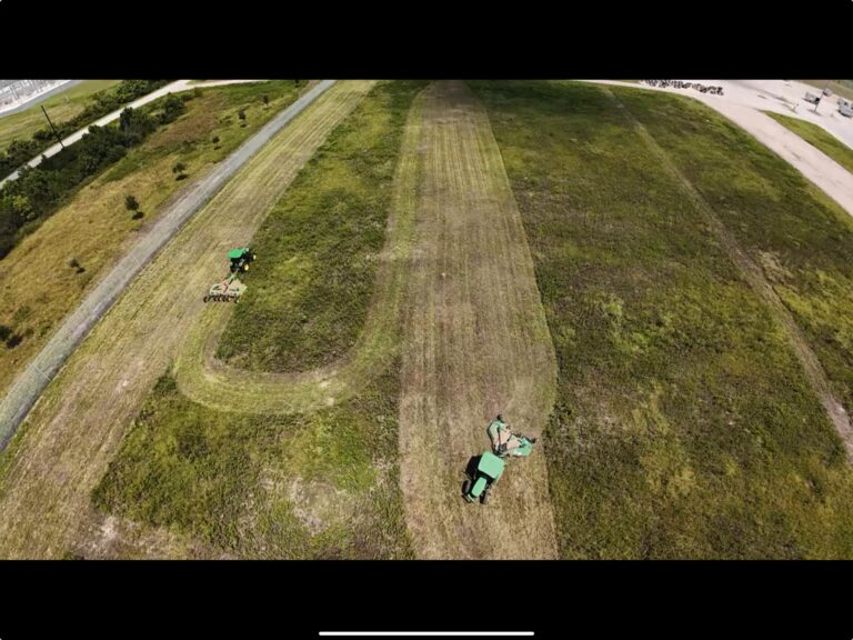 Freshly bush-hogged acreage with the cut lines still visible