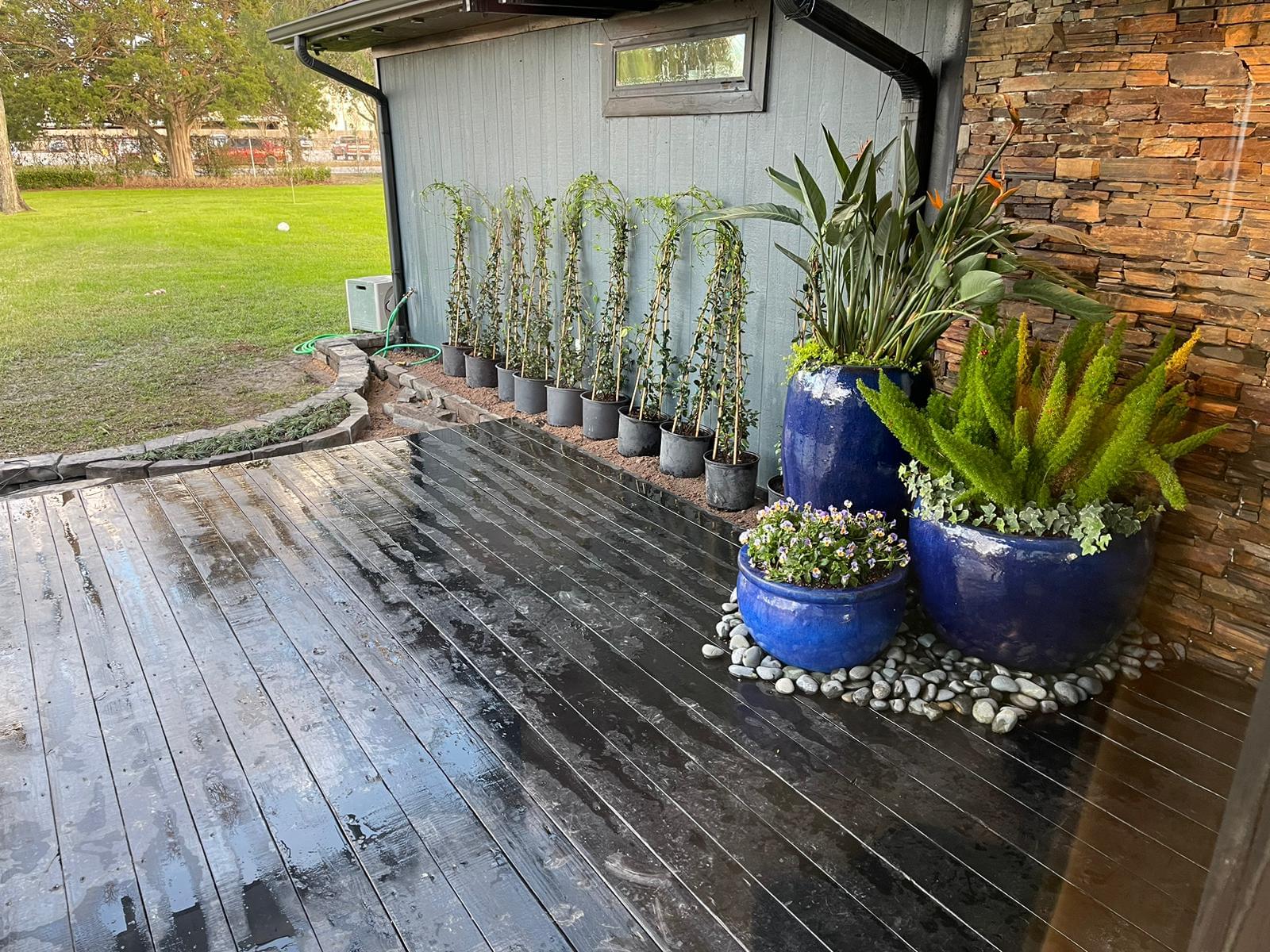 Safari Landscapes, landscaping, grass cutting, tree trimming, Irrigation System Services, Landscape Design, lawn care, irrigation system installation, seasonal flower planting, expert landscaping solutions