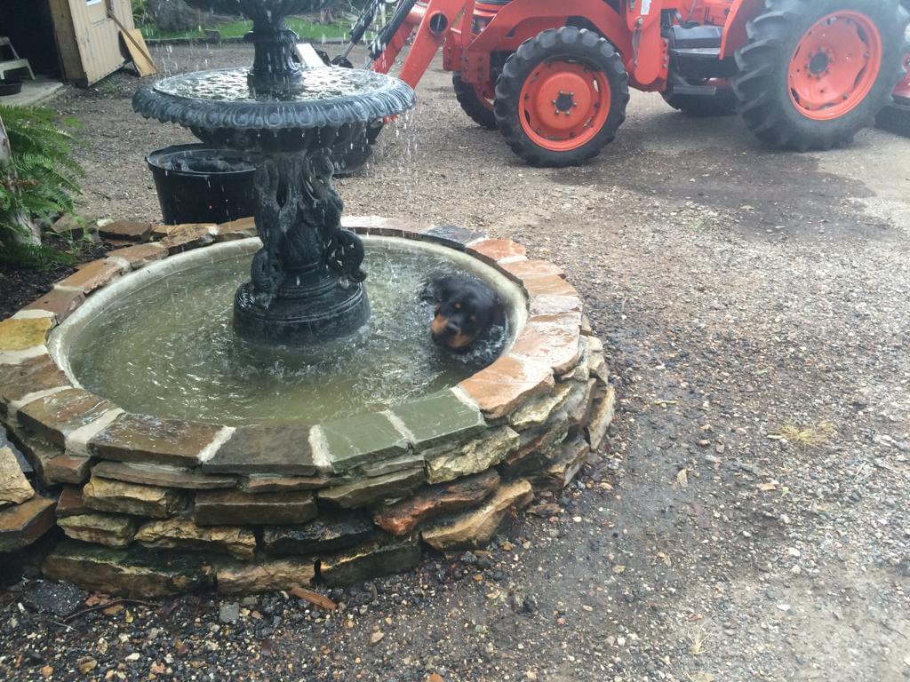 Safari Landscapes, landscaping, grass cutting, tree trimming, Irrigation System Services, Landscape Design, lawn care, irrigation system installation, seasonal flower planting, expert landscaping solutions